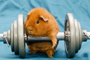 华体会-边网颤动，边检站闭，在哈弗茨破门与卡塔尔封锁塞内加尔的瞬间，听见同一面壁垒的碎裂声