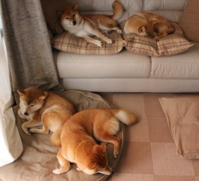 华体会-风暴眼与神话场，当德甲争冠战遭遇卡塔尔爆冷的蝴蝶效应  第2张