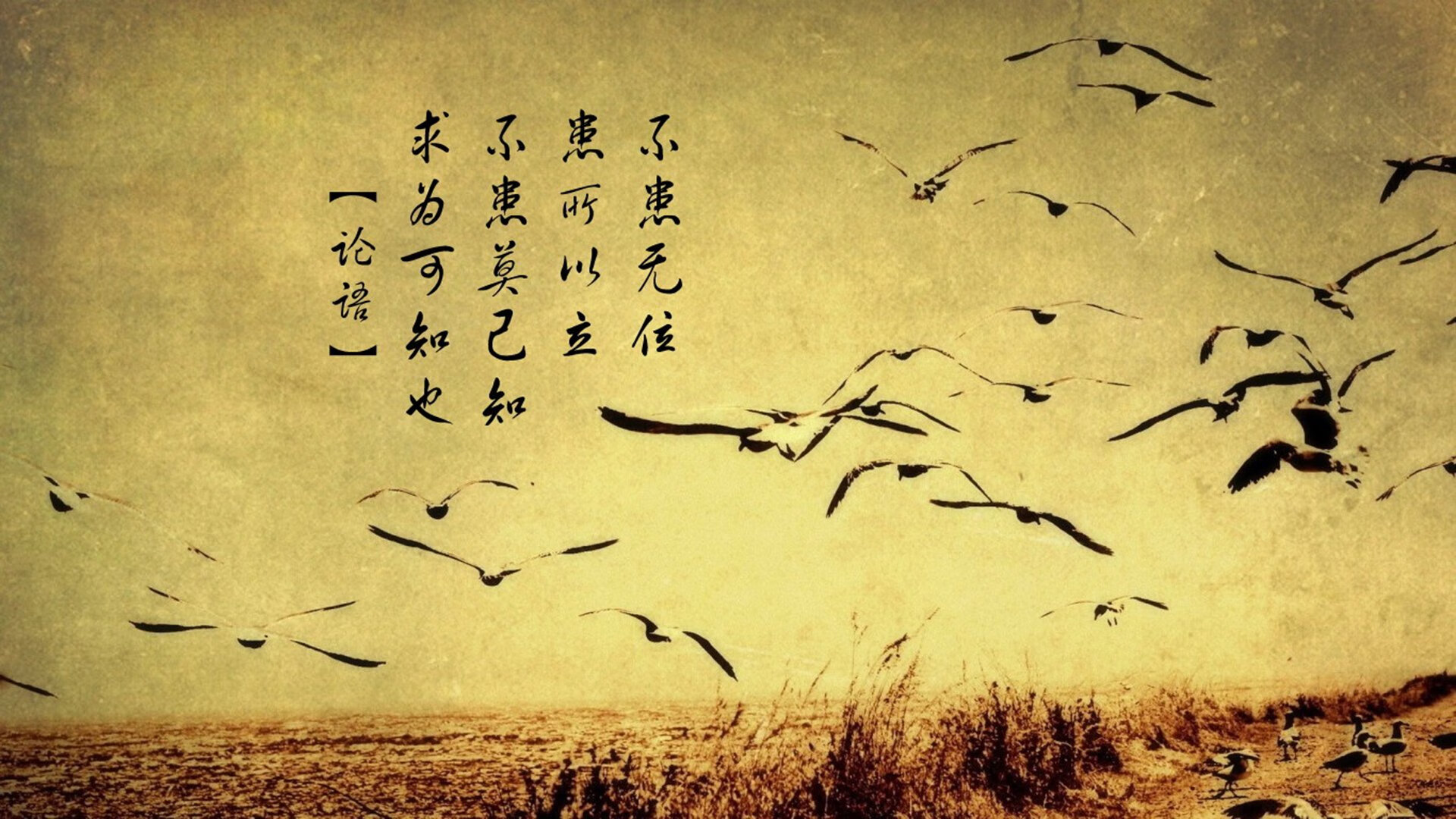 华体会下载-当彩虹照亮亚平宁，格列兹曼一锤定音，南非奇迹在佛罗伦萨上演  第1张